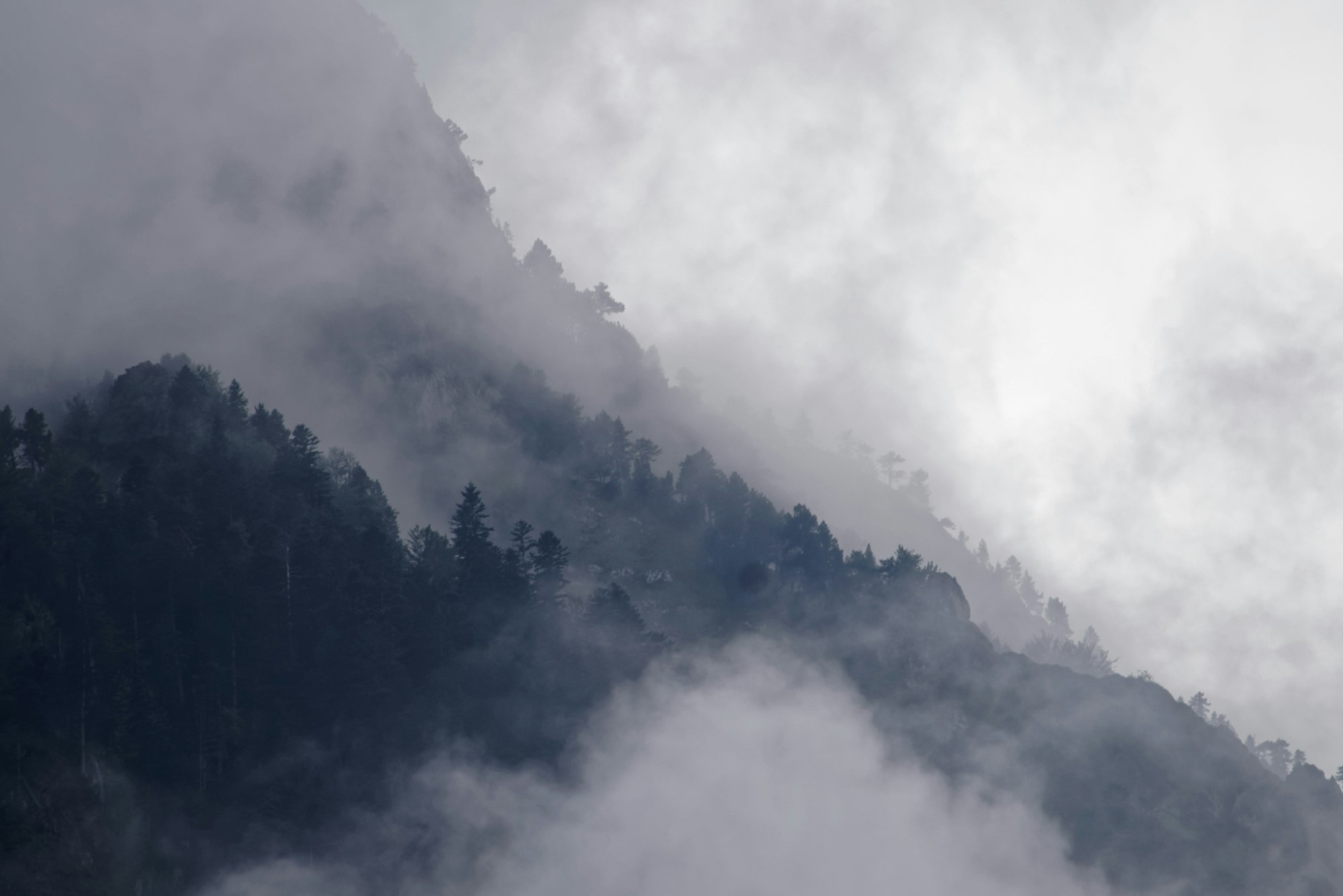 Soft fog drifting over a quiet mountain slope